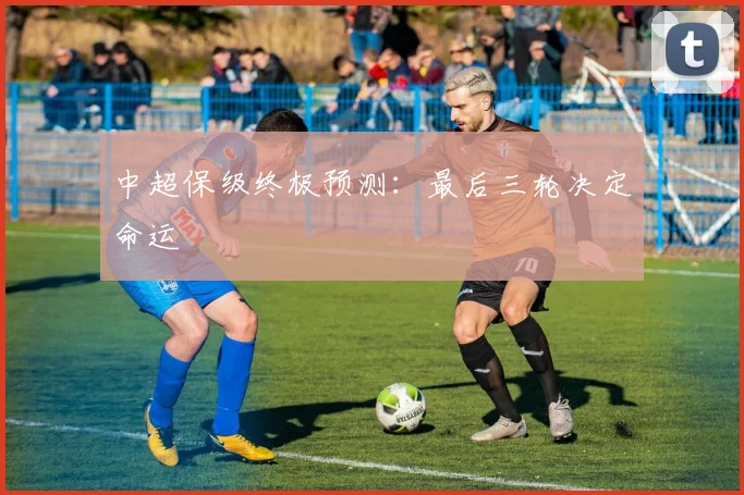 中超保级终极预测:最后三轮决定命运
